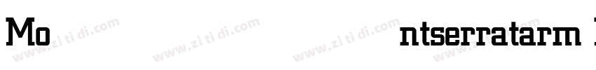 Montserratarm Medium字体转换 Montserratarm Medium字体转换